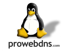 ProWebDns